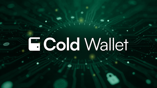 best-crypto-right-now?-cold-wallet-leads-while-hype-and-xlm-heat-up